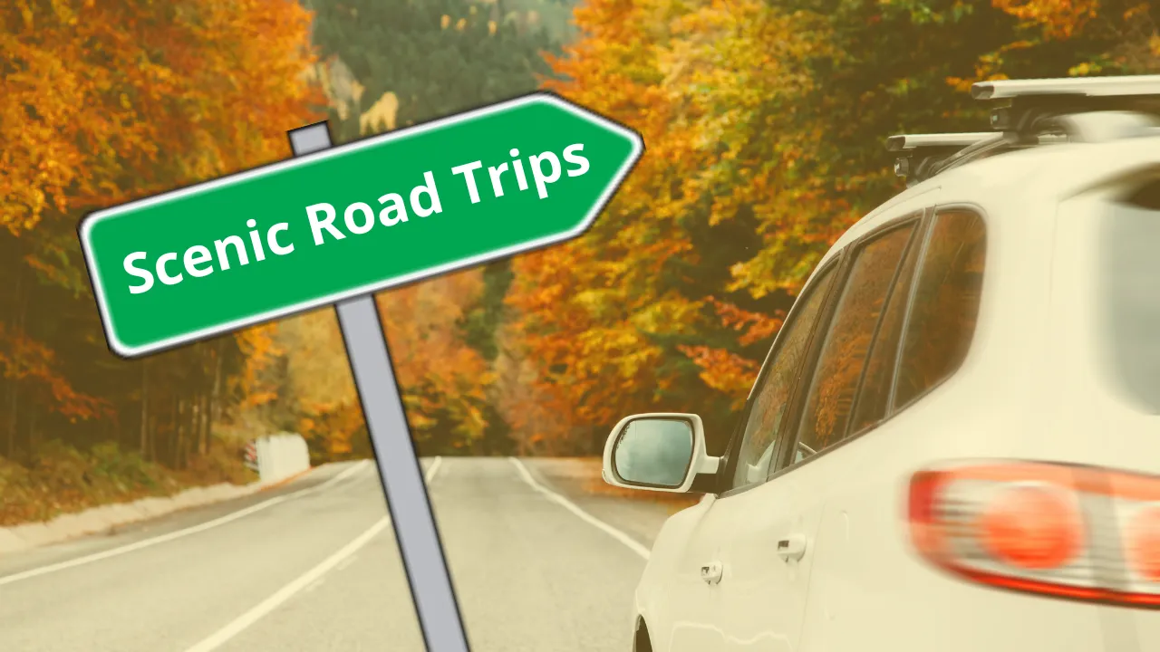 Autumn Escapes: Scenic Road Trips You'll Love