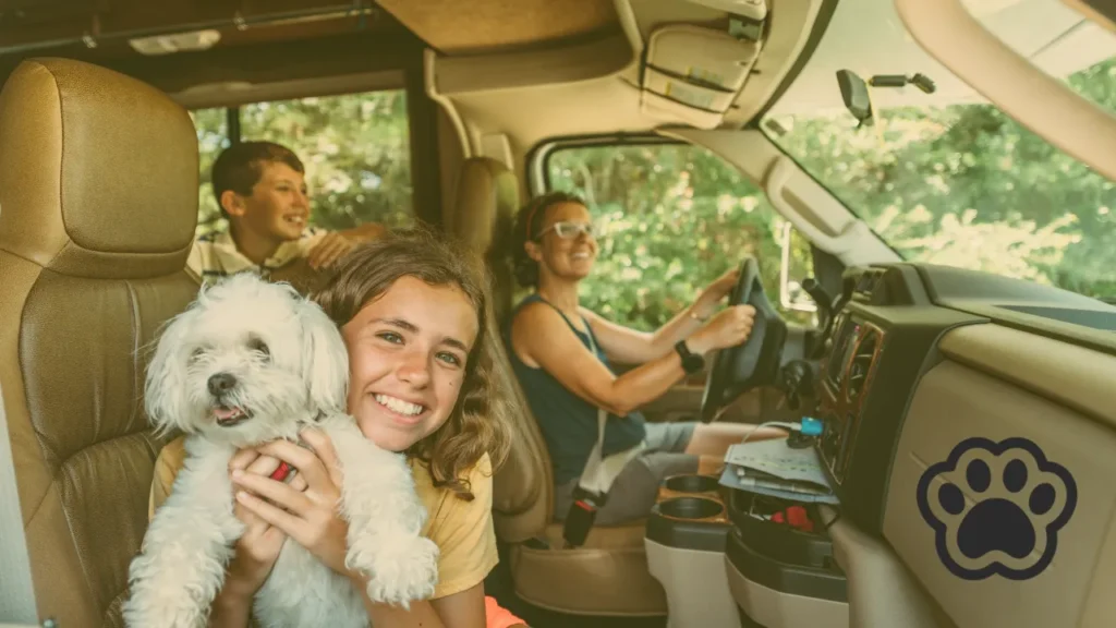 Adventure Awaits: Pet-Friendly Road Trip Escapes