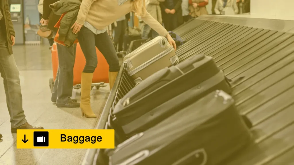 Airline Baggage Fees: Compare and Save